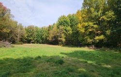 5967 Taylor, Hudson, MI 49426-9714