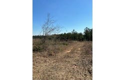 35ac County Rd 67, Clopton, AL 36317