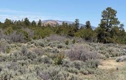 Tbd Calle del Cuervo, Tres Piedras, NM 87577
