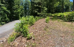 Wilderness Road, Hays, NC 28635