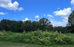 52 Paint Rock Ferry Rd, Kingston, TN 37763