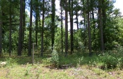 7647 Oscar Circle, Donalsonville, GA 39845
