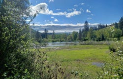 00 Peaceful Pines Rd, Council, ID 83612