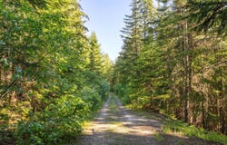 N Mt Spokane Park Dr, Mead, WA 99021