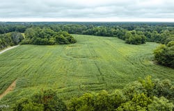0 Hearn Road, Greenfield, TN 38230