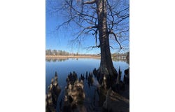 339 Neck O Land RD, Williamsburg, VA 23185
