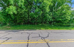 V/L Avenue C, Springfield, MI 49037
