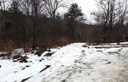 Co Rd 5, Bolivar, NY 14754