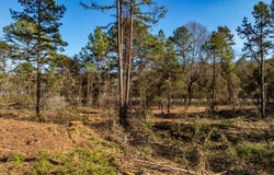 Tract 2 Hwy124, Springfield, AR 72157