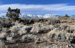 1290 Jo Lane, Gardnerville, NV 89410