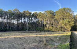 3864 Abe White Road, Awendaw, SC 29429