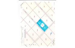 Anaqua, Beeville, TX 78102