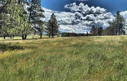 TBD W Argyle Road, Custer, SD 57730