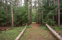 W1519 Rainbow Lane lot: 3 & 4, Wisconsin Dells, WI 53965