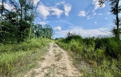 891 Ms-48, Tylertown, MS 39667