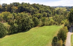 Walter McDaniels Road, East Bernstadt, KY 40729