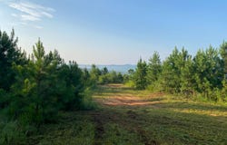 0 Pleasant Ridge Church Road, Fayette, AL 35555