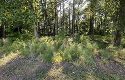 26 Phillips Road, Selma, NC 27576