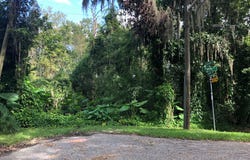 4250 POPOLEE Road, St. Johns, FL 32259