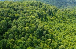 0 Monday Hollow Ln, Duff, TN 37729