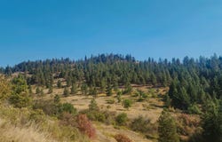 TBD GOLD HILL LOT C RD, KETTLE FALLS, WA 99141