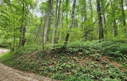 2B Poplar Cove, Suches, GA 30572