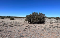 004p N N7204, St. Johns, AZ 85936