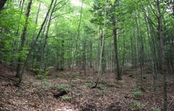 0 Valley Rd, Thurman, NY 12885