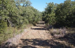 Hwy 16 N, Graham, TX 76450