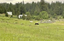 2384 WILD HEART WAY, KETTLE FALLS, WA 99141