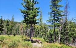 112 Blazing Saddle Ct, Pinehurst, ID 83850