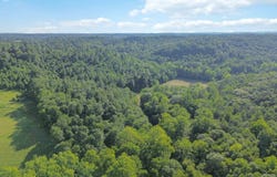 9999 Hensley and Radford Road, East Bernstadt, KY 40729