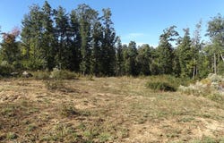 Deer Ridge Rd. lot: 3, Hillsville, VA 24343