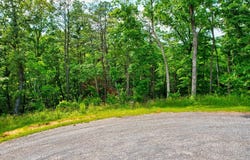 Lot 16 Lake Top Lane, Ellijay, GA 30540