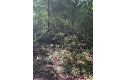 108 Trail Glen Drive, Mabank, TX 75156