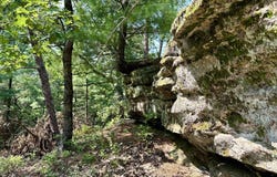 817 Elk Drive, Adams, WI 53910