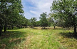 25.44 Ac N Fm 129, Santo, TX 76472
