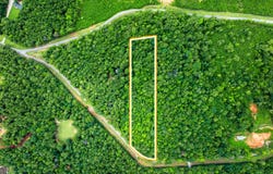 Lot 1 Lakeshore, Eatonton, GA 31024