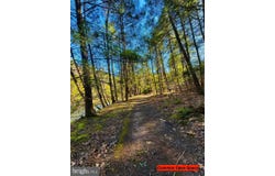 Lot: 37 PARADISE POINT, JAMES CREEK, PA 16657
