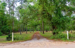 3751 NE Persimmon Dr., Pinetta, FL 32350