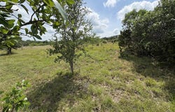 Tbd Shovel Mountain RD, Cypress Mill, TX 78663