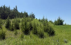 154 Baycliffe Dr, Yankton, SD 57078