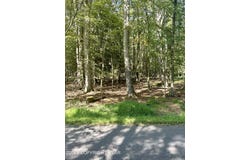 Mansi Drive, Albrightsville, PA 18210
