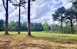 Bozeman Road, Madison, MS 39110