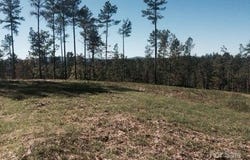 5619 Channel View Cove, Granite Falls, NC 28630