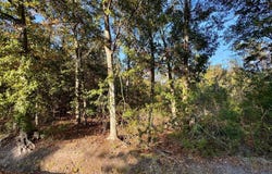 Sycamore Street, Bay Saint Louis, MS 39520