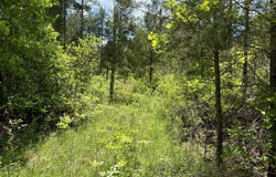 000 Tbd E State Hwy 76, Bradleyville, MO 65614
