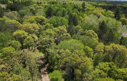 Tbd County 2, Nevis, MN 56467