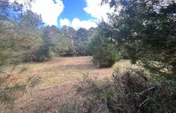 00 Highway 331, Luverne, AL 36049