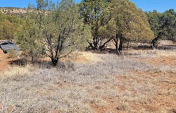 10 Mule Shoe Road, Hanover, NM 88041